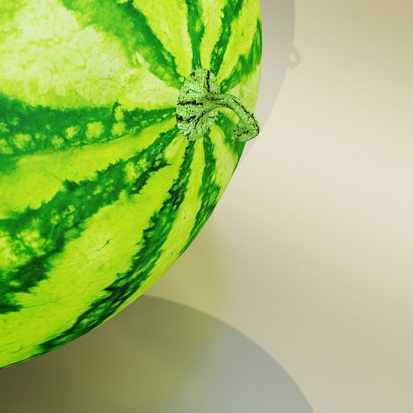 17 Fruits Collection High Res Textures 3D model_84