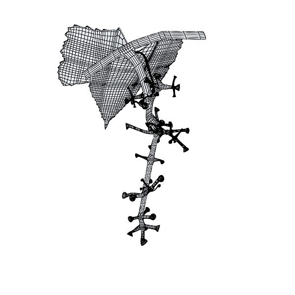 17 Fruits Collection High Res Textures 3D model_40