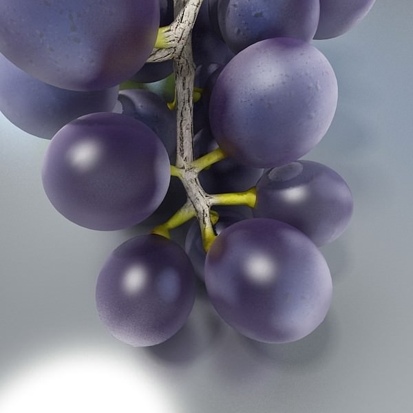 17 Fruits Collection High Res Textures 3D model_29