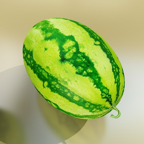 17 Fruits Collection High Res Textures 3D model_87