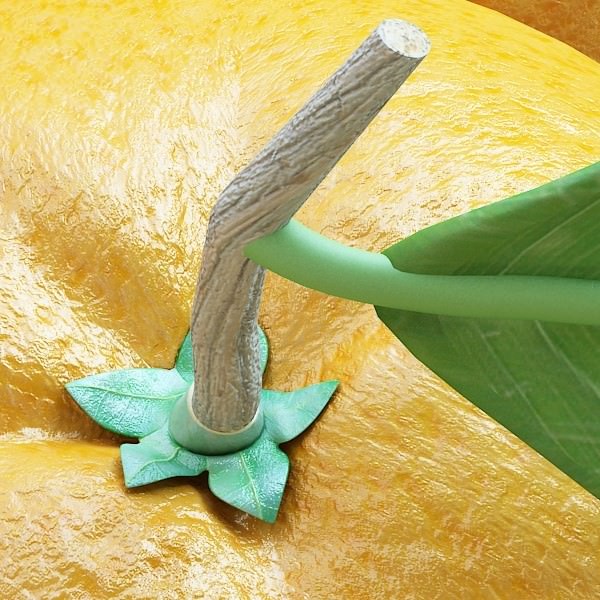 17 Fruits Collection High Res Textures 3D model_61