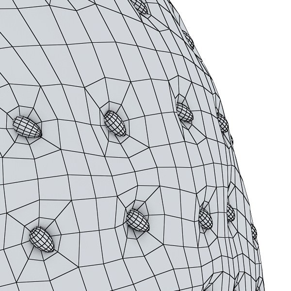 17 Fruits Collection High Res Textures 3D model_83