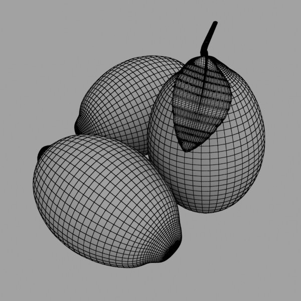 17 Fruits Collection High Res Textures 3D model_53