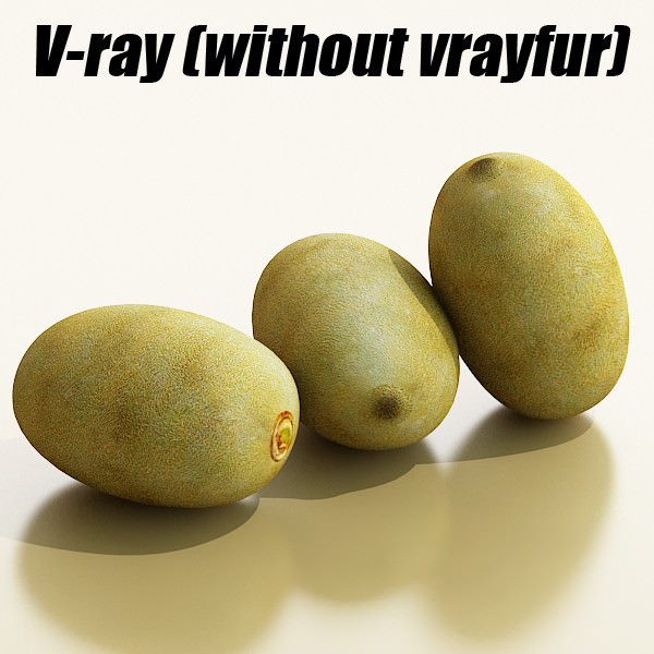 17 Fruits Collection High Res Textures 3D model_44