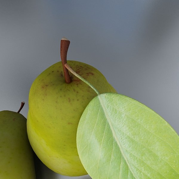 17 Fruits Collection High Res Textures 3D model_71