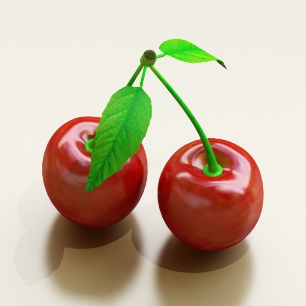 17 Fruits Collection High Res Textures 3D model_23