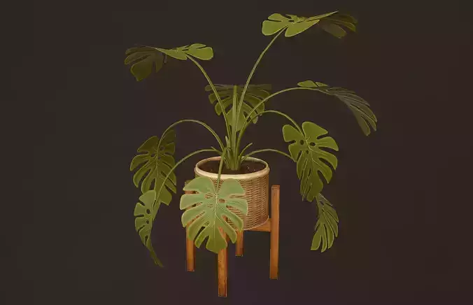 Monstera Plant - PBR Game Ready