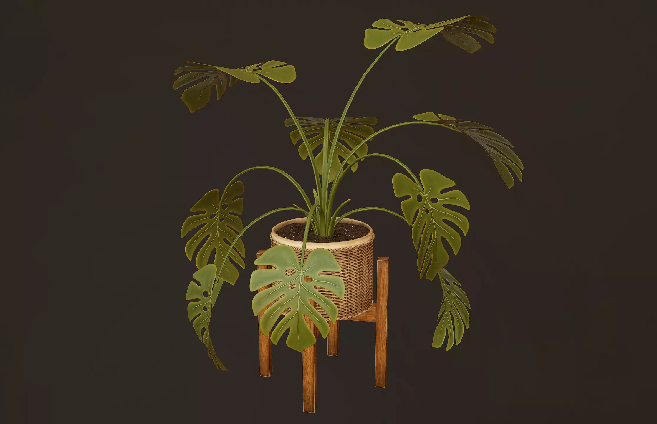 Monstera Plant - PBR Game Ready Low-poly 3D model