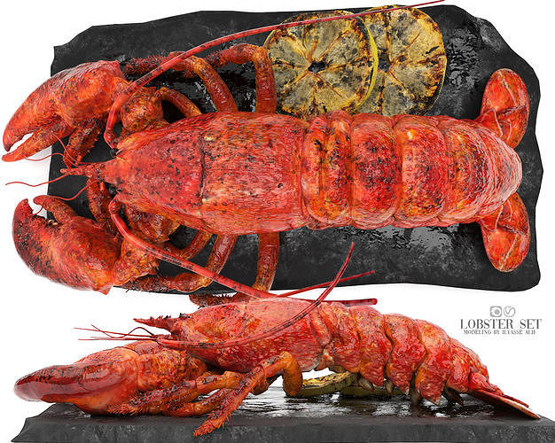 lobster set on slate 3D model