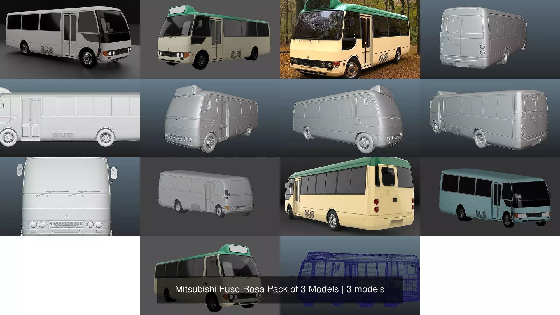 Mitsubishi Fuso Rosa Pack of 3 Models 3D Model Collection_1