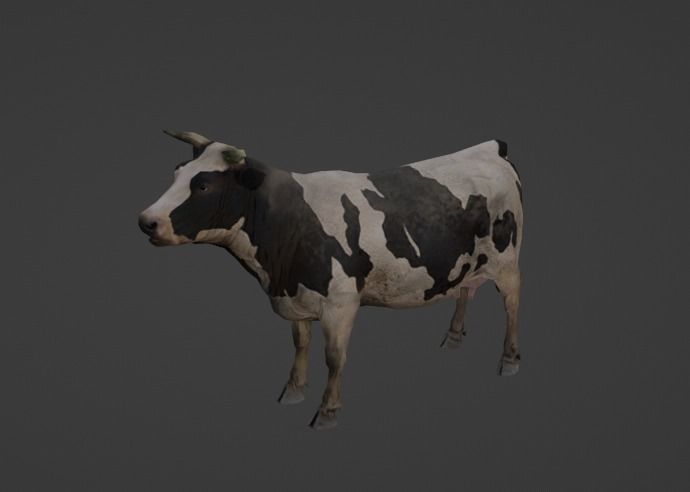 Low  Poly Cow 3D  Model  Low-poly 3D model_6