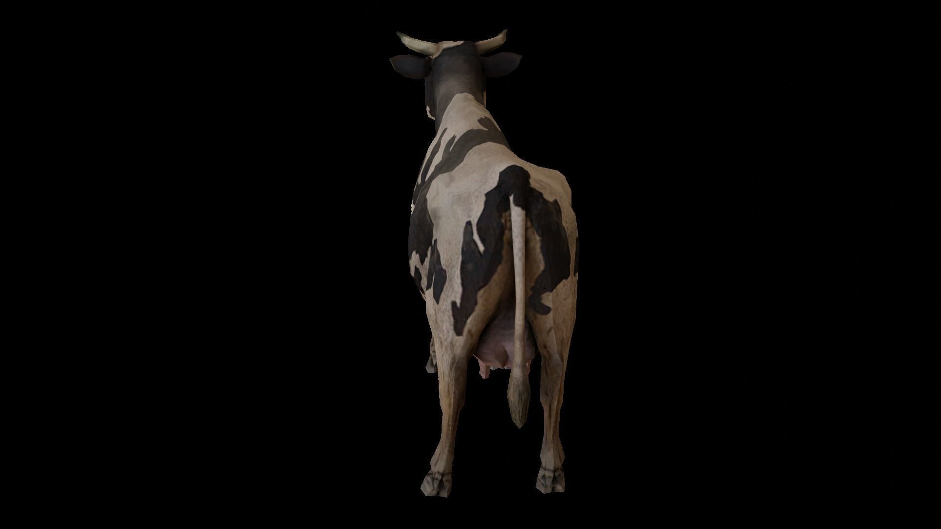 Low  Poly Cow 3D  Model  Low-poly 3D model_4