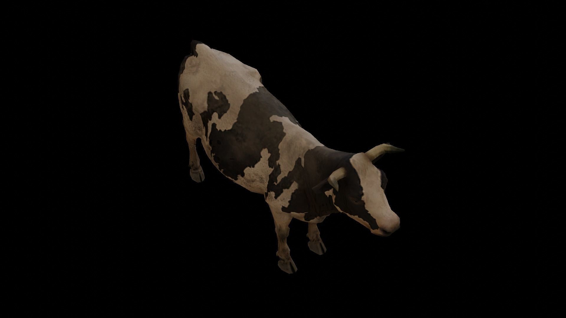 Low  Poly Cow 3D  Model  Low-poly 3D model_5