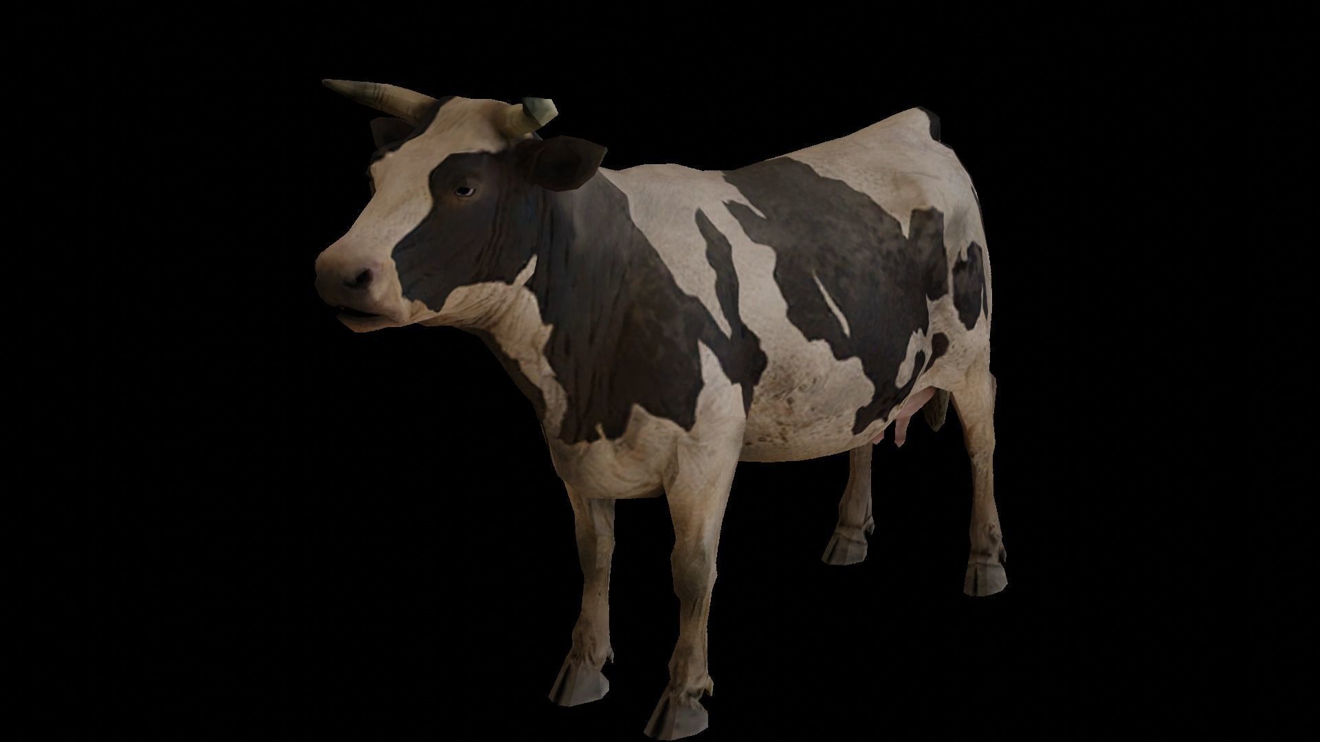 Low  Poly Cow 3D  Model  Low-poly 3D model_1