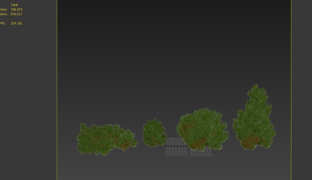 Mugo pine 3D model_7