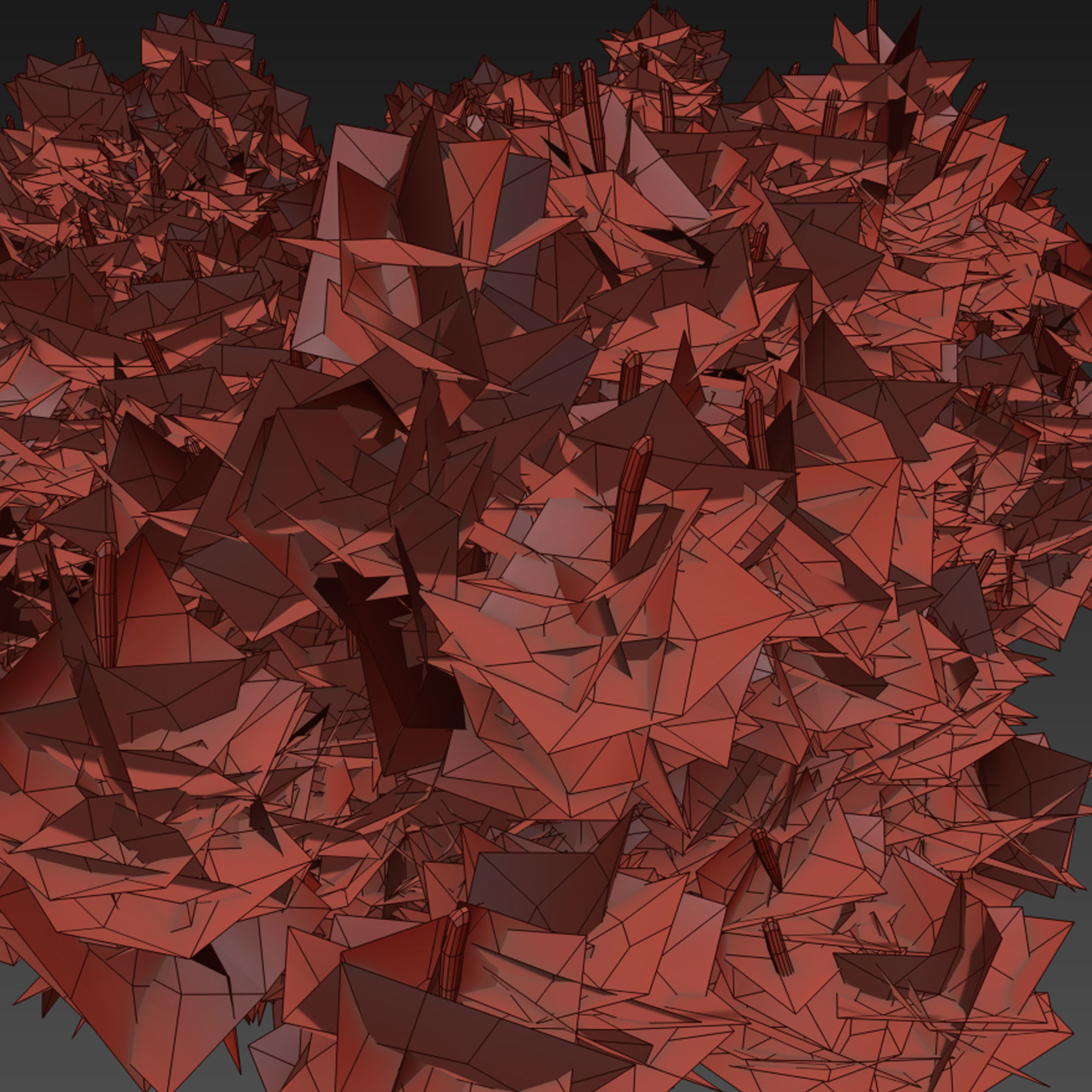 Mugo pine 3D model_6