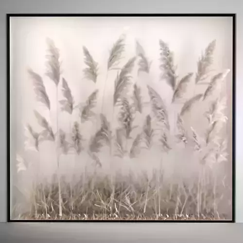 vertical garden Of Dry Palm Leaves And Pampas Grass