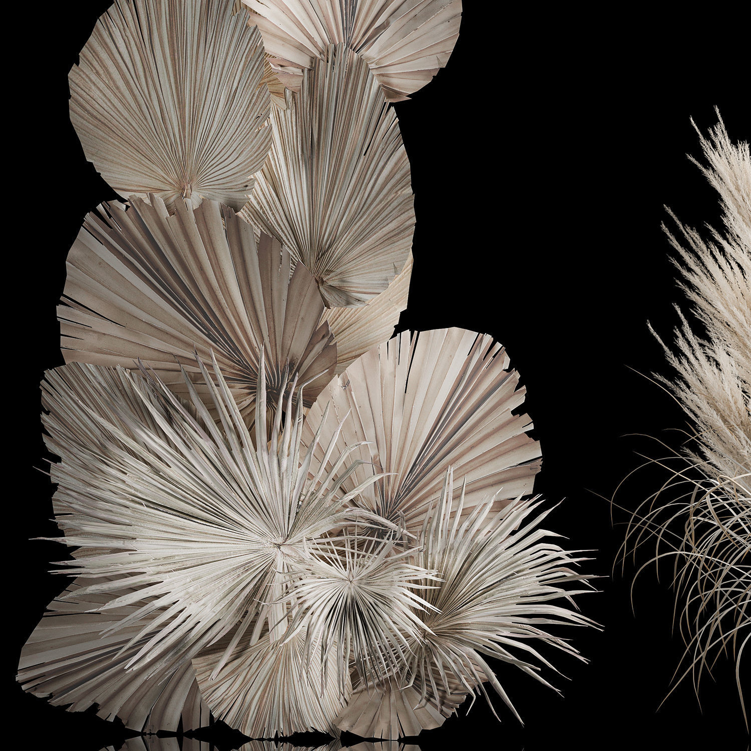 Wedding arch made of dry palm branches and pampas grass 3D model_3