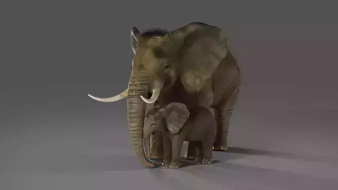 Fur Elephant and Baby Elephant Rigged in Blender 