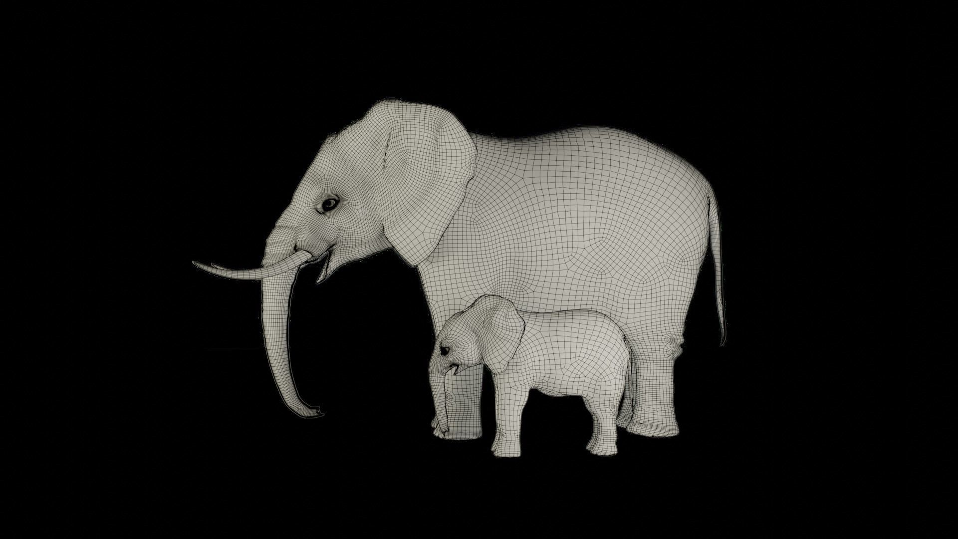 Fur Elephant and Baby Elephant NO Rigged in Blender Low-poly 3D model_14