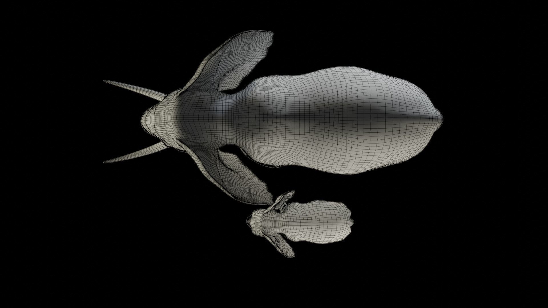 Fur Elephant and Baby Elephant NO Rigged in Blender Low-poly 3D model_15