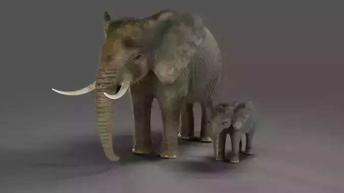 Fur Elephant and Baby Elephant NO Rigged in Blender Low-poly 3D model