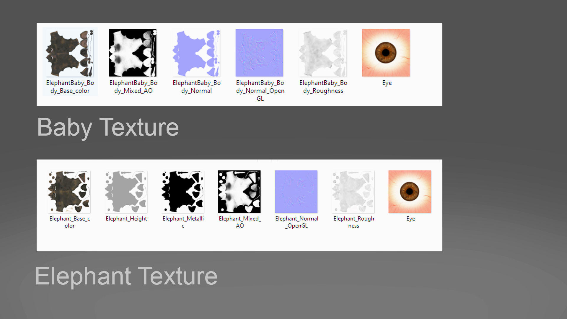 Fur Elephant and Baby Elephant NO Rigged in Blender Low-poly 3D model_13