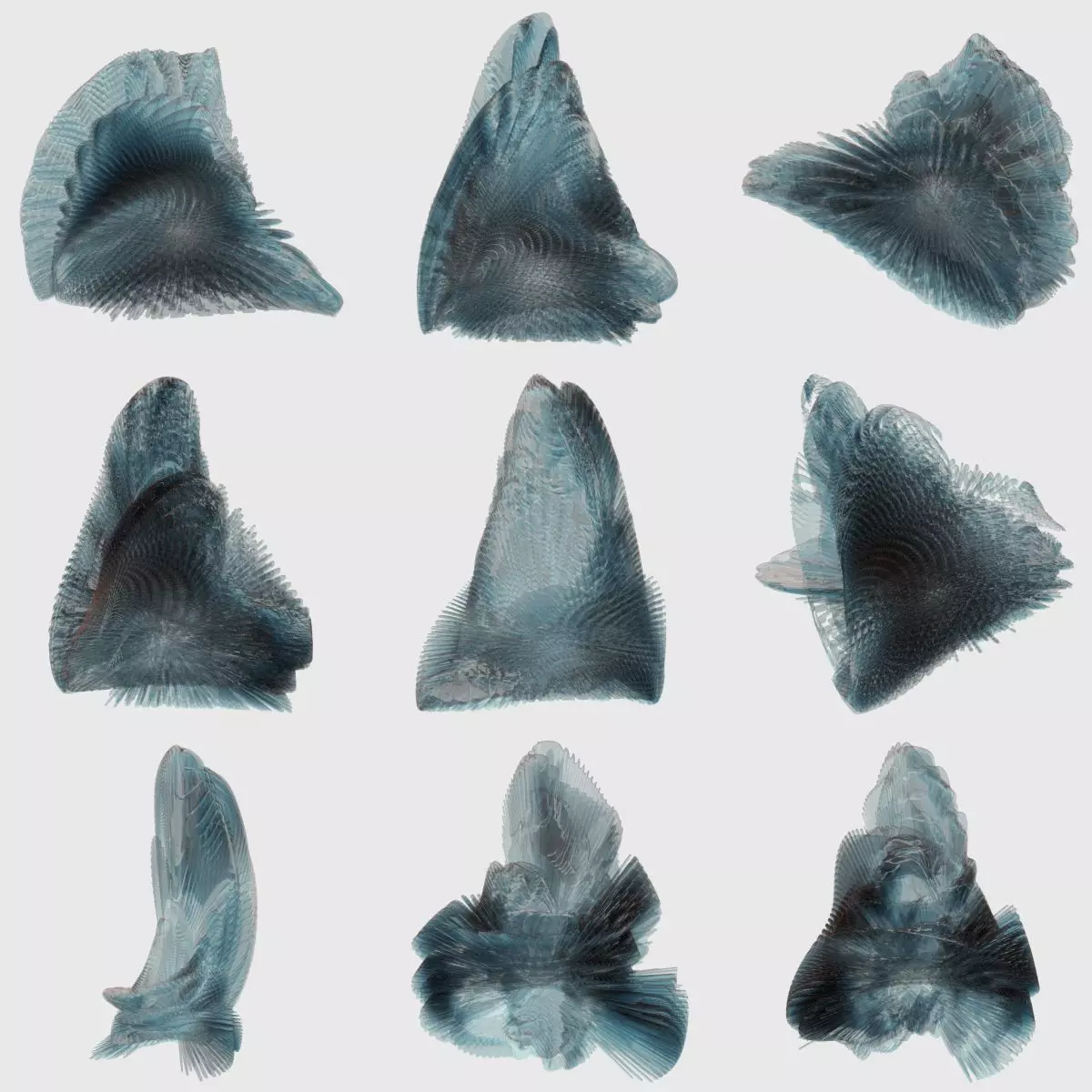 9 Sea Creatures 3D model_0