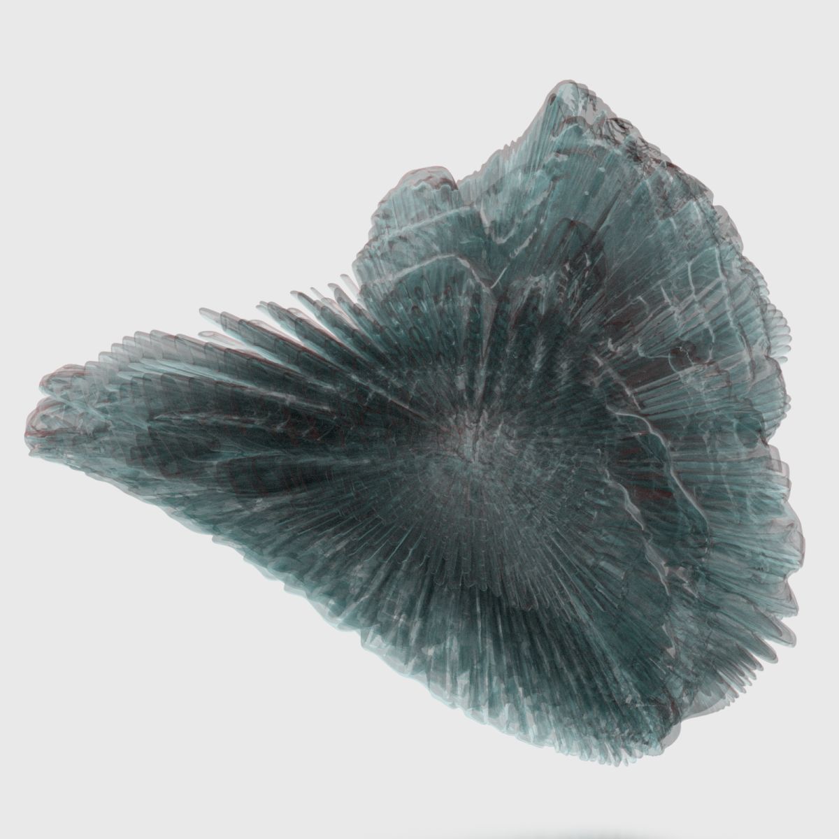 9 Sea Creatures 3D model_4