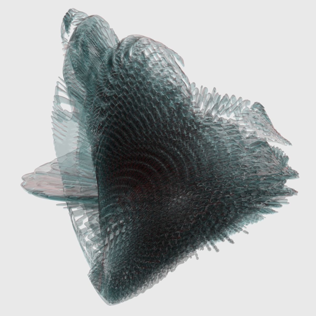 9 Sea Creatures 3D model_3