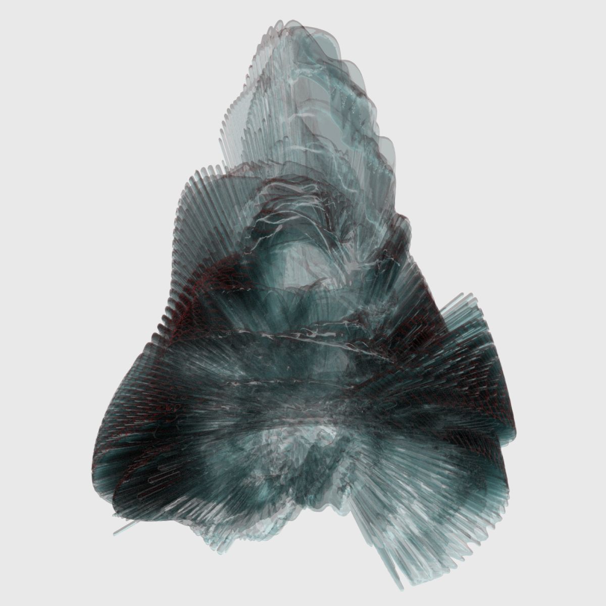 9 Sea Creatures 3D model_1