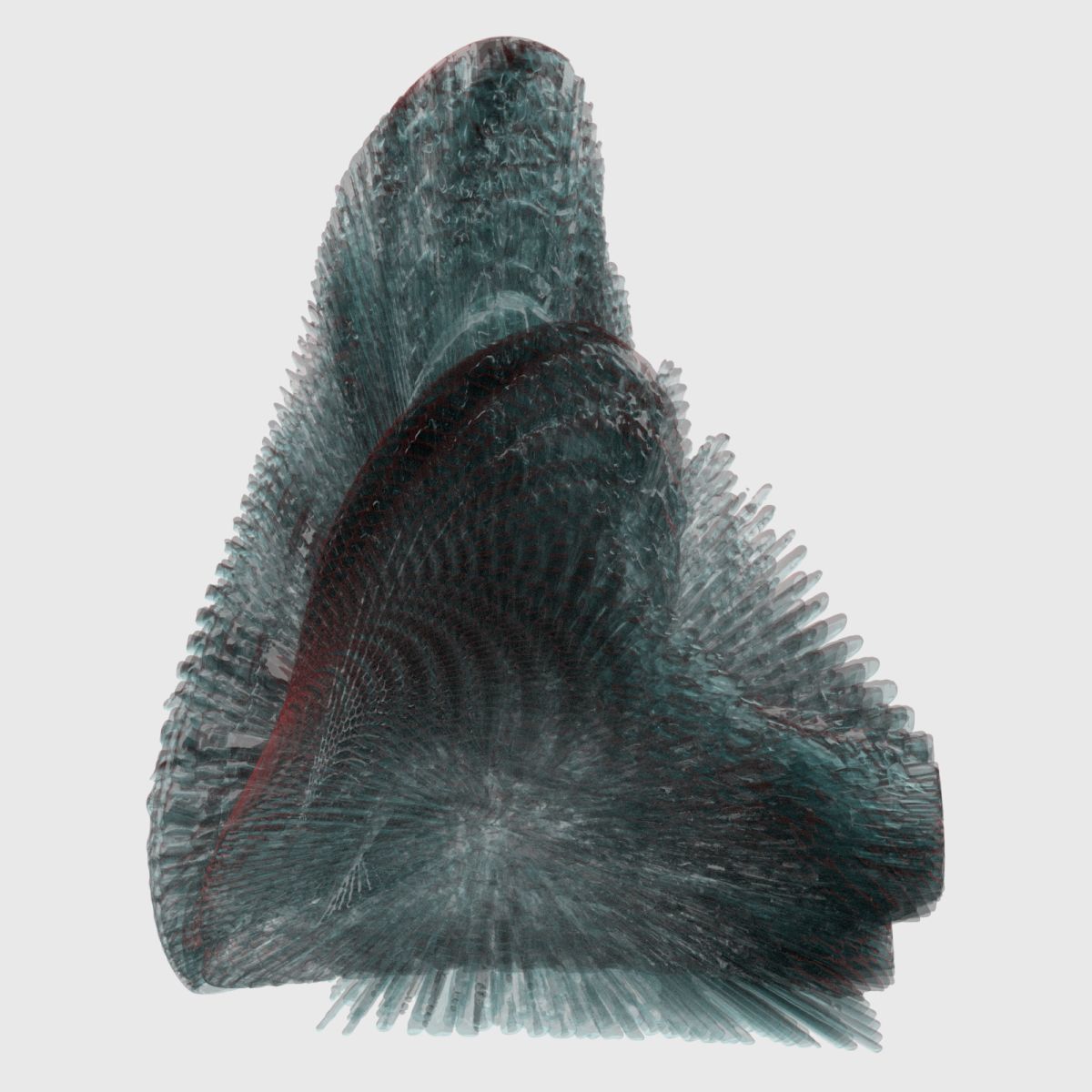 9 Sea Creatures 3D model_7