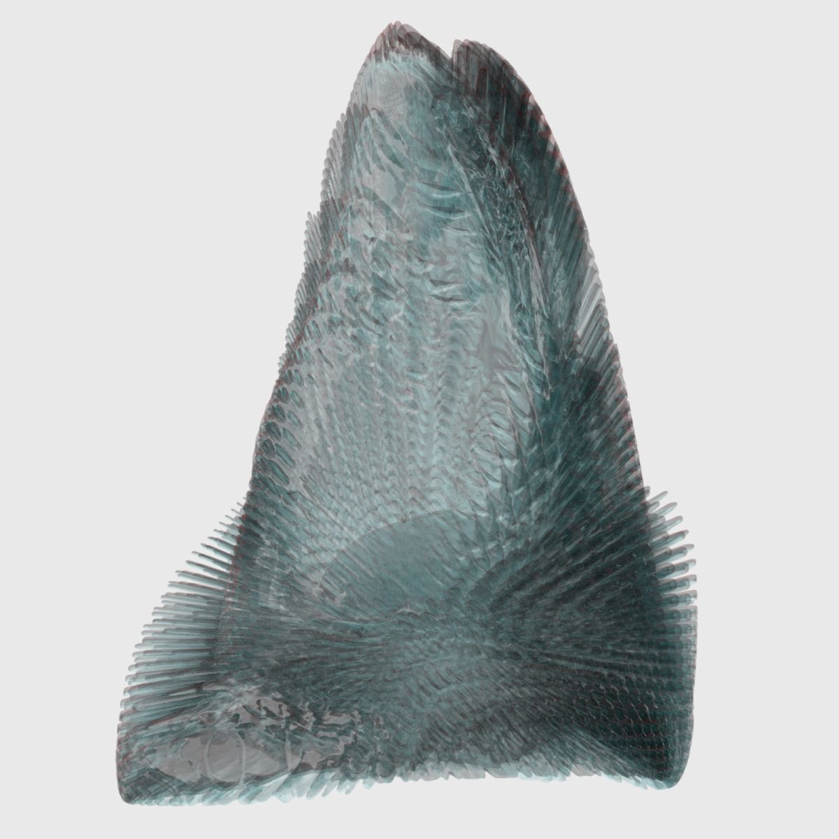 9 Sea Creatures 3D model_5