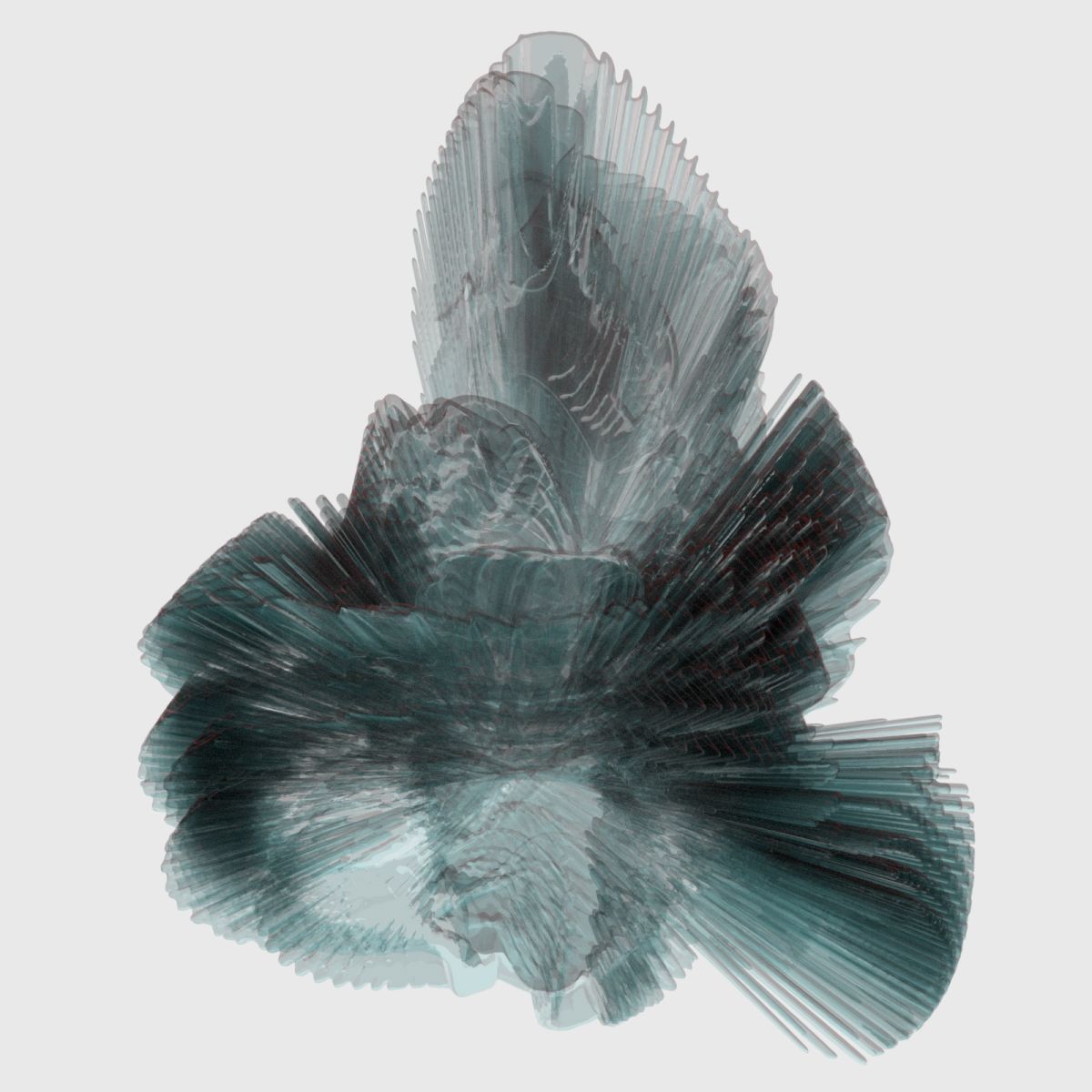 9 Sea Creatures 3D model_2