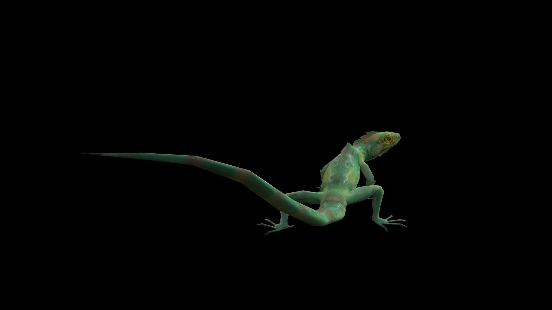 low-poly animated lizard Low-poly 3D model_7