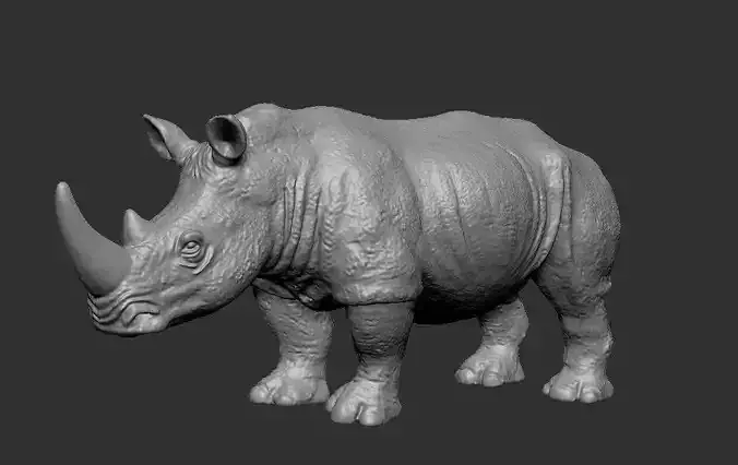 Rhinoceros model