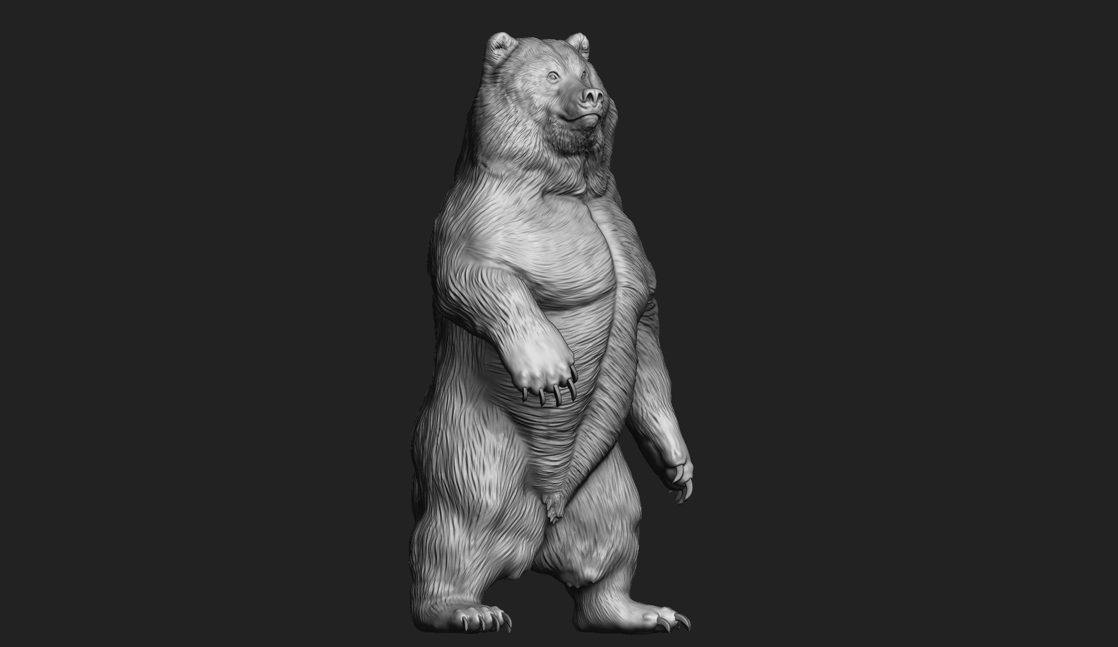 Kodiak Brown Bear 3D Print Model 3D print model_3