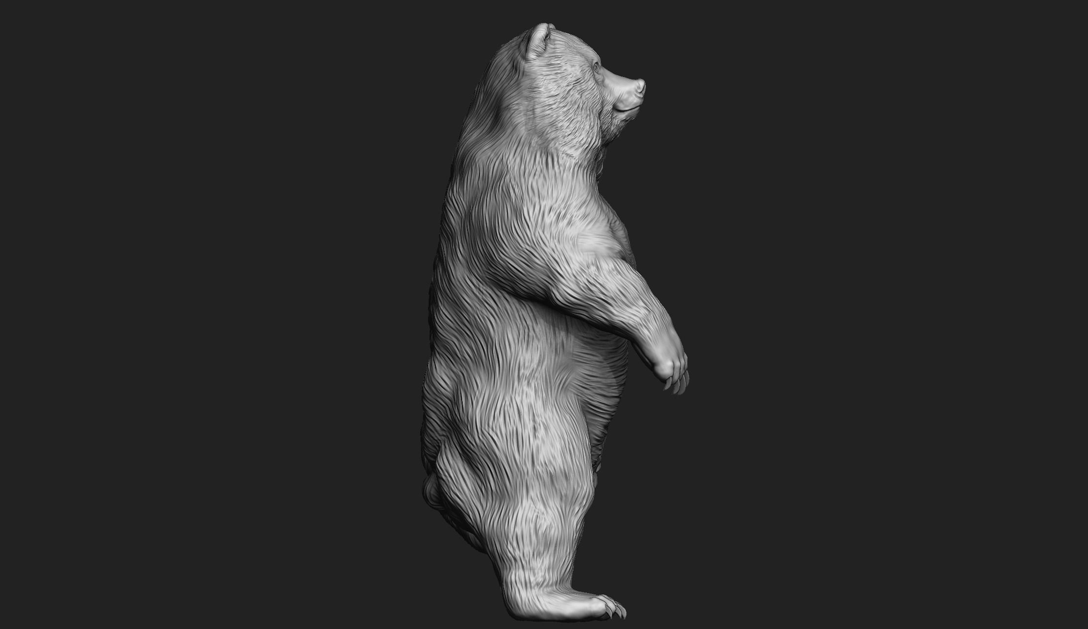 Kodiak Brown Bear 3D Print Model 3D print model_4