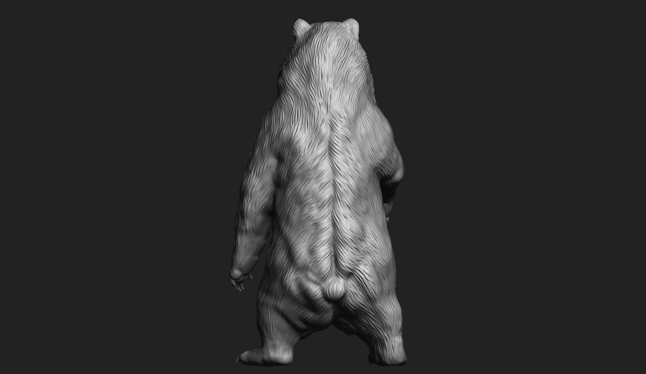 Kodiak Brown Bear 3D Print Model 3D print model_2