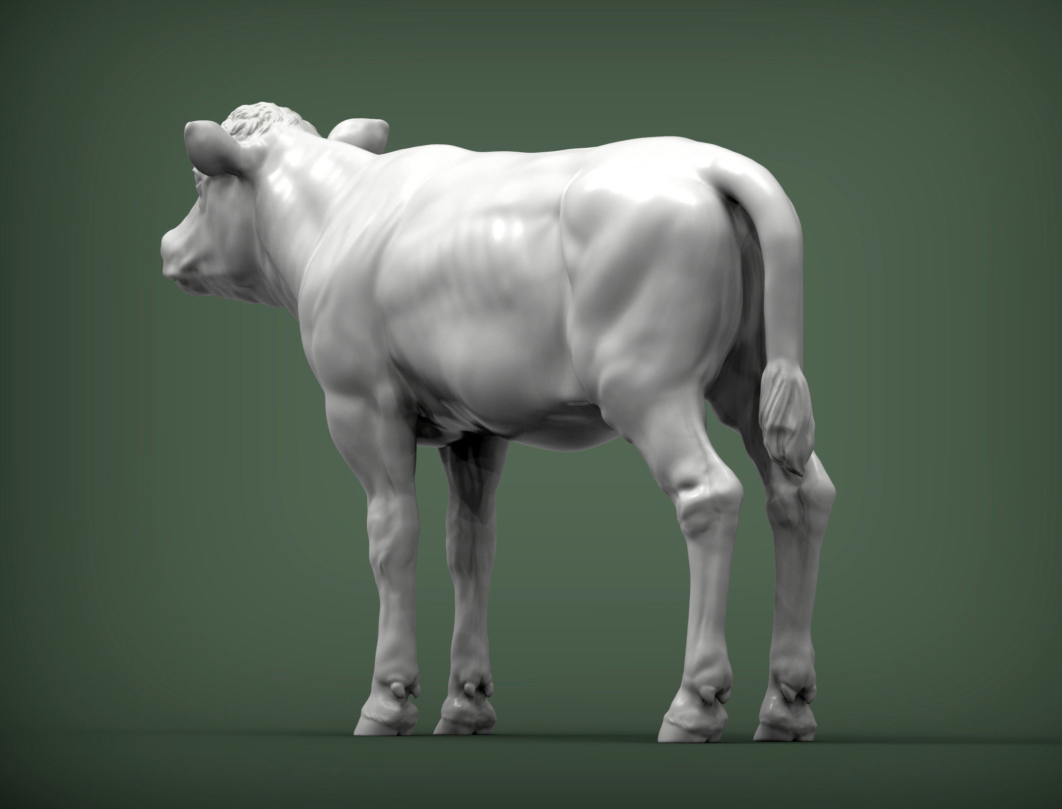 Calf 3D print model cow 3D print model_4
