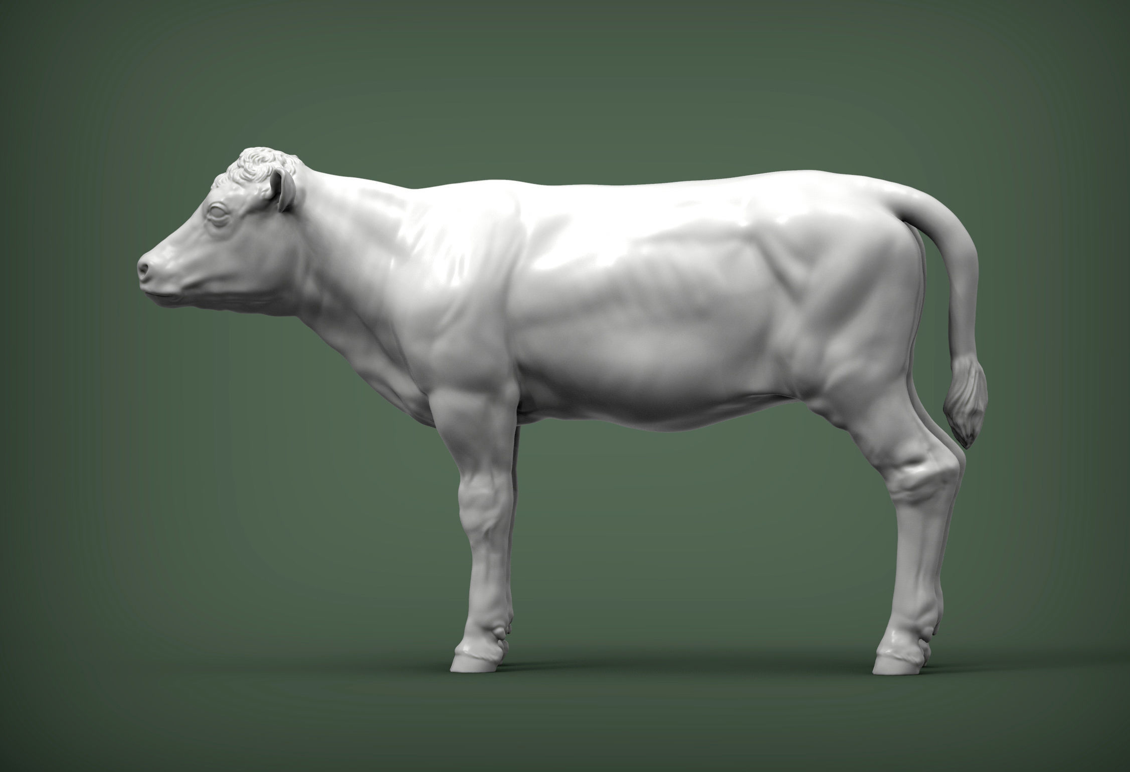 Calf 3D print model cow 3D print model_1