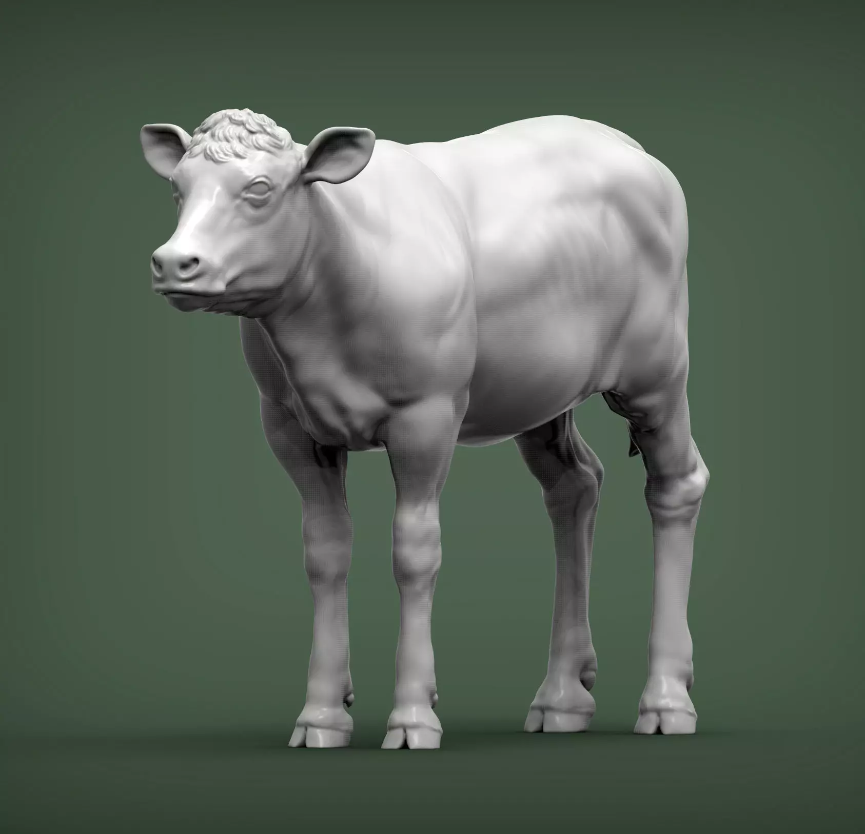 Calf 3D print model cow 3D print model_0