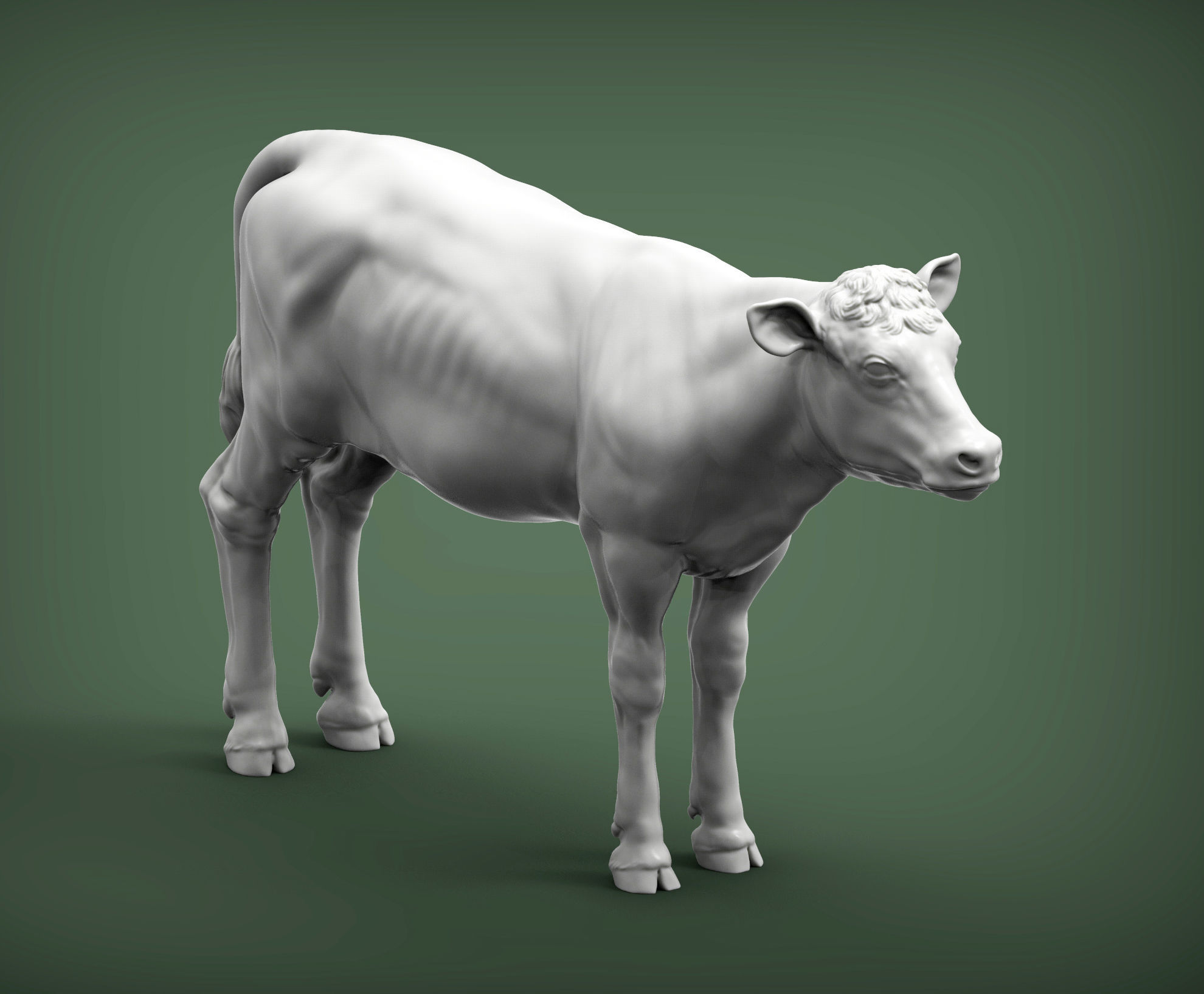 Calf 3D print model cow 3D print model_2
