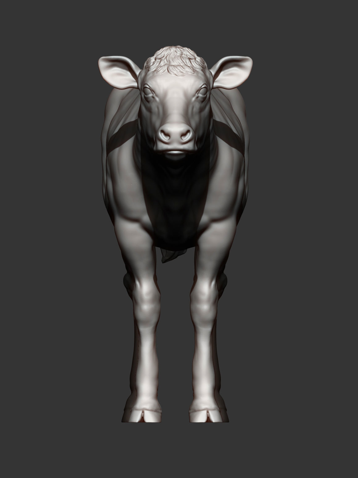 Calf 3D print model cow 3D print model_8