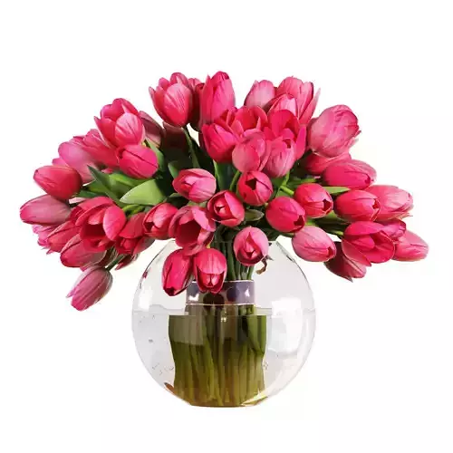 Flower Set 19 - Pink Tulips Bouquet
