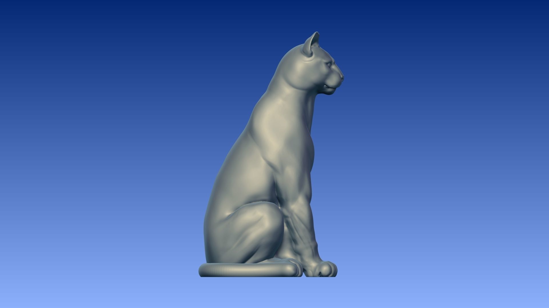 Sitting puma 3D model_10