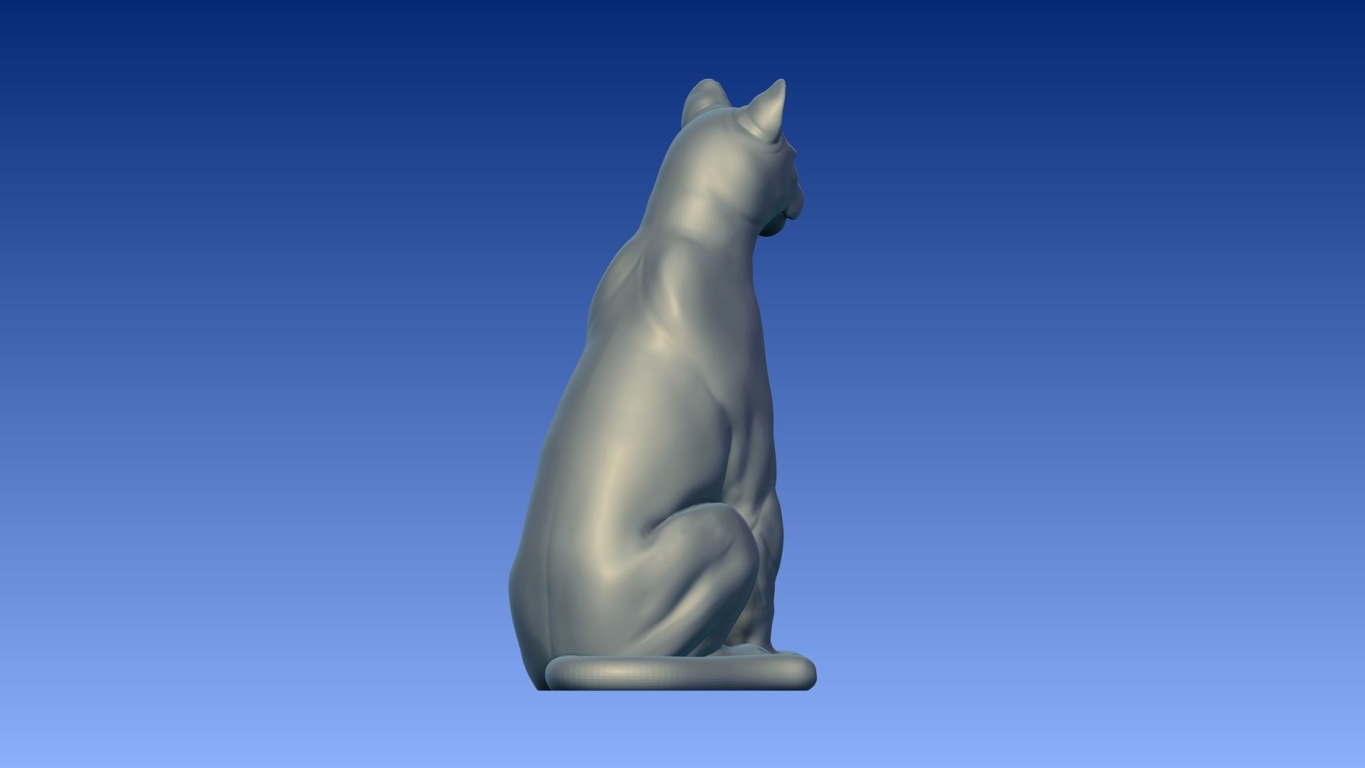 Sitting puma 3D model_9