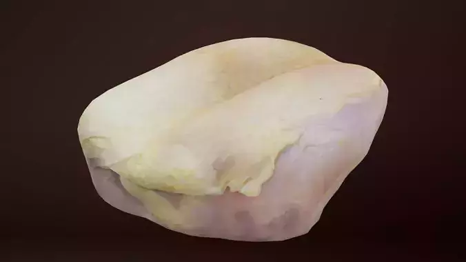 Breast piece of chicken Low-poly 3D model
