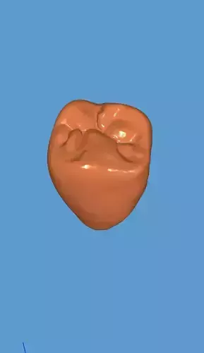 Premolar desain 3D print model