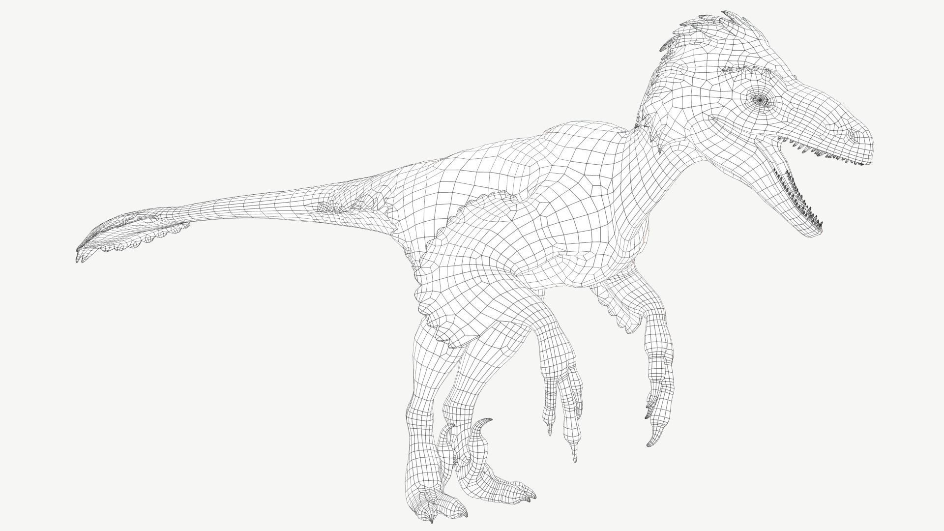 Deinonychus dinosaur Low-poly 3D model_2
